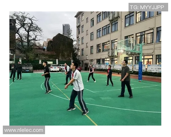 上海排球队的精神之旅：揭秘排球背后的团队意识与奋斗故事